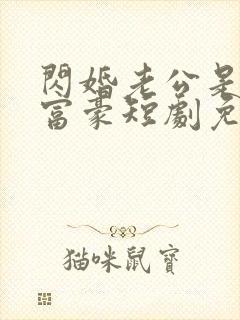 闪婚老公是超级富豪短剧免费观看封面