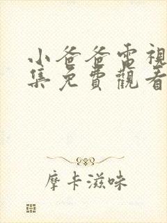 小爸爸电视剧全集免费观看封面