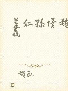 美红孙倩赵振高义