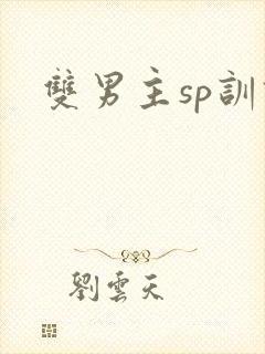 双男主sp训诫