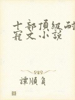 十部顶级耐看甜宠文小说