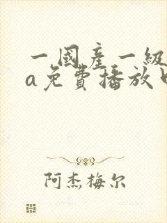 一国产一级淫片a免费播放口