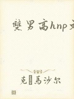 双男高hnp文