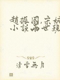 赵振国,宋婉清小说两世亲情