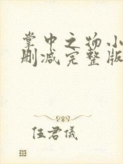 掌中之物小说无删减完整版