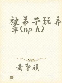 被弟子玩弄的师尊(np h)封面