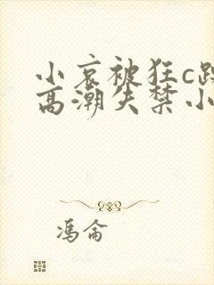 小哀被狂c躁到高潮失禁小说