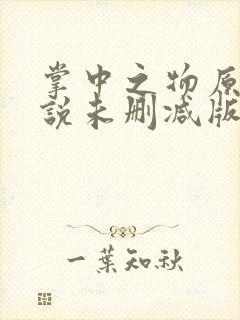 掌中之物原著小说未删减版