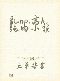 乱np,高h,纯肉小说
