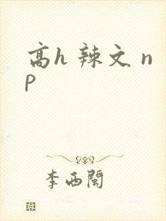 高h 辣文 np封面