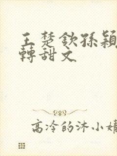 王楚钦孙颖莎虐转甜文