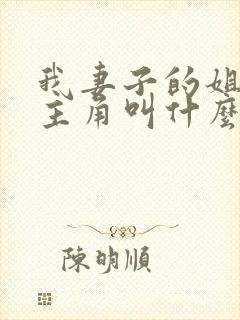我妻子的姐姐女主角叫什么封面