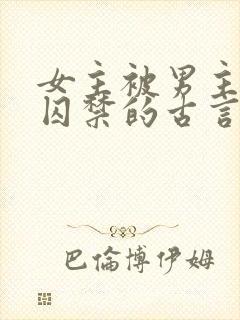 女主被男主灭国囚禁的古言
