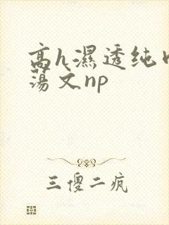高h湿透纯肉放荡文np