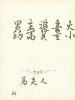男主追妻火葬场的高质量小说