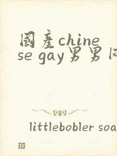 国产chinese gay男男网站