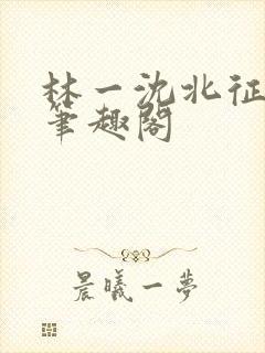 林一沈北征小说笔趣阁