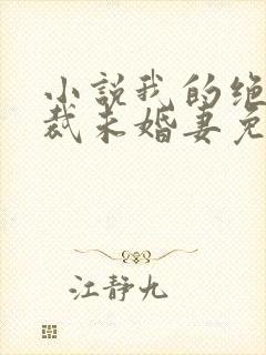 小说我的绝色总裁未婚妻免费阅读