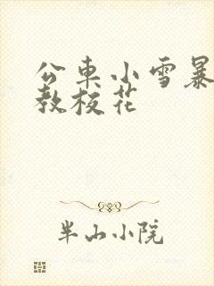 公车小雪暴露调教校花