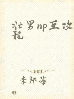 壮男np互攻双龙