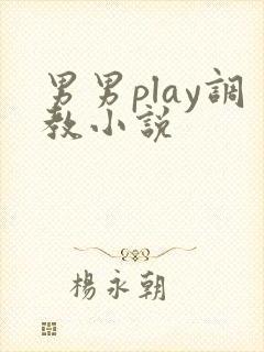 男男play调教小说封面