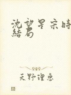 沈望星宋时砚大结局
