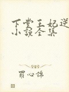 下堂王妃逆袭记小说全集