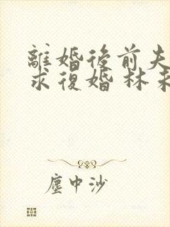 离婚后前夫哭着求复婚 林未央封面