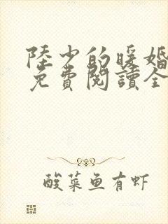 陆少的暖婚新妻免费阅读全文