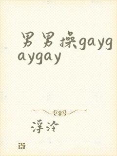 男男操gaygaygay