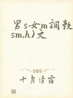 男s女m调教(sm,h)文