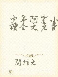 少年阿宾小说阅读全文免费无删减