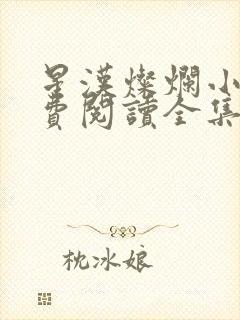 星汉灿烂小说免费阅读全集