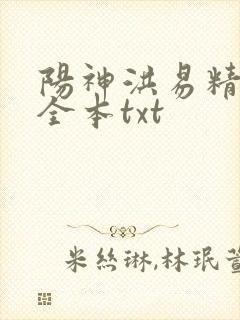 阳神洪易精校版全本txt