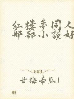 红楼梦同人小说哪部小说好看