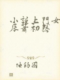 小说上门女婿叶辰萧初然