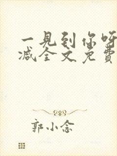 一见到你呀无删减全文免费阅读封面