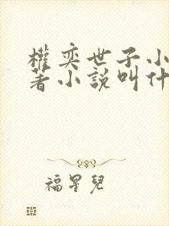 权奕世子小说原著小说叫什么名字啊