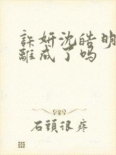 许妍沈皓明最后离成了吗封面