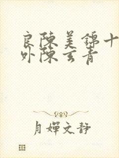 良陈美锦十个番外陈玄青