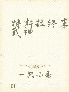 特斯拉终末的女武神封面