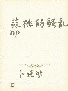 苏桃的骚乱文肉np封面