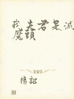 我夫君是灭世大魔头