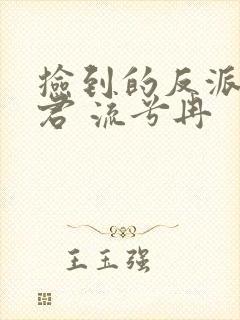 捡到的反派成夫君 流兮冉
