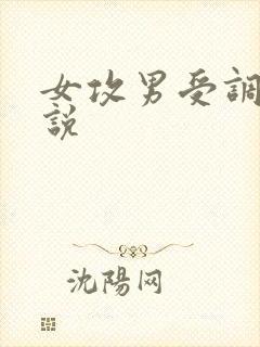 女攻男受调教小说