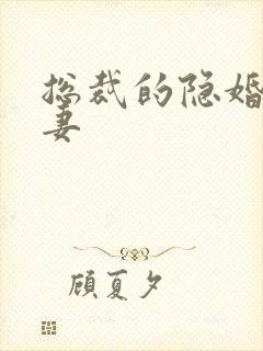 总裁的隐婚小娇妻