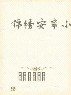 锦绣安宁小说