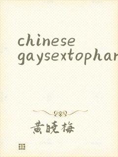 chinesegaysextophard