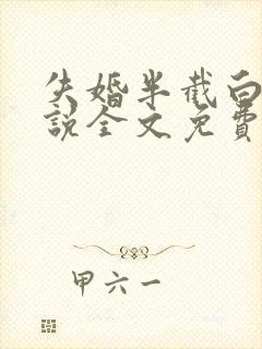 失婚半截白菜小说全文免费阅读封面