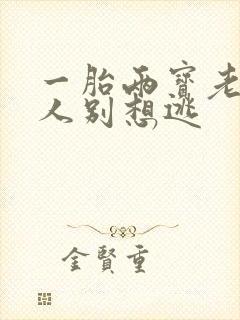 一胎两宝老婆大人别想逃